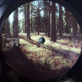 LP Renata Zeiguer: Picnic In The Dark