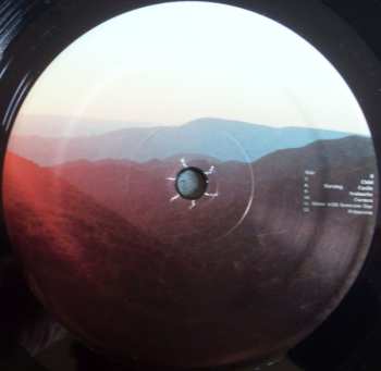 LP Renata Zeiguer: Picnic In The Dark