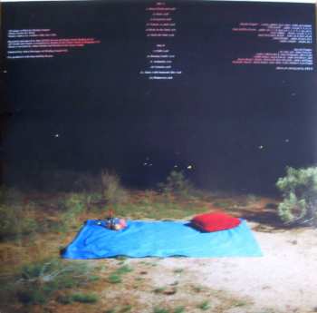 LP Renata Zeiguer: Picnic In The Dark