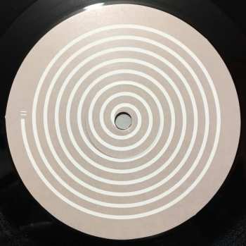 LP Reuben And The Dark: Arms Of A Dream