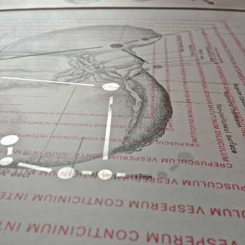 LP Ricardo Donoso: Saravá Exu LTD | CLR
