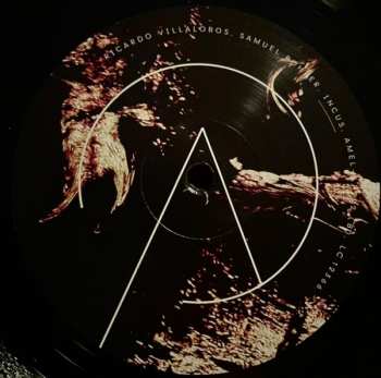 2LP Samuel Rohrer: Microgestures