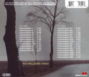 CD Rich Pellegrin: Solitude: Solo Improvisations