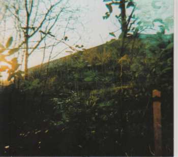 CD Richard Youngs: Inside The Future