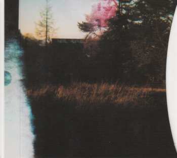 CD Richard Youngs: Inside The Future