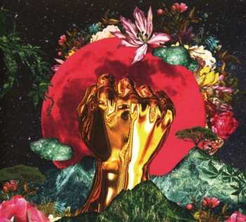 CD Rina Mushonga: In A Galaxy