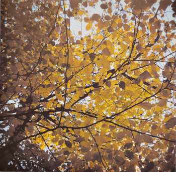 LP RM Hubbert: Telling the Trees