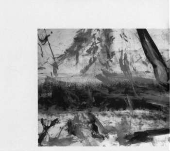 CD Rob Mazurek: Four Views Of A Three Sided Garden / Shore To Shore