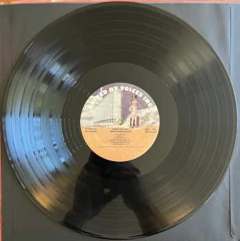 2LP Robert Pollard: From A Compound Eye