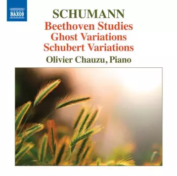 Beethoven Studies