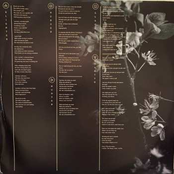 LP/CD Rome: Hall of Thatch