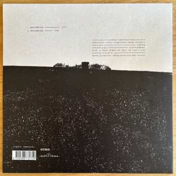 LP Ronan Courty: Synesthesia