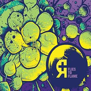 CD Rosetta: Flies To Flame