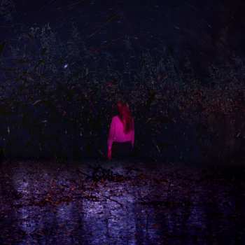 LP Ruissalo Amping: Tähtien Suojatit Maan Povella