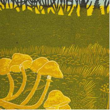 LP Rural Tapes: Rural Tapes