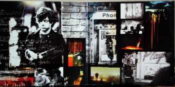 LP Ryan Adams: Ashes & Fire