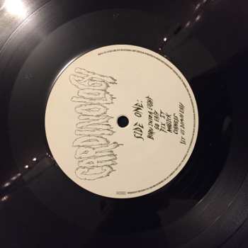 LP Ryan Adams & The Cardinals: Cardinology