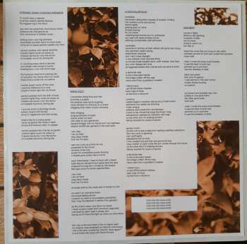 LP Ryley Walker: Course In Fable