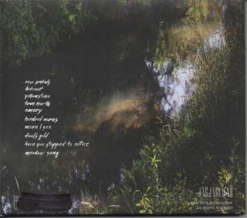 CD S. Carey: Hundred Acres