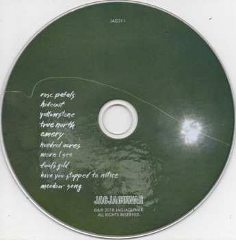 CD S. Carey: Hundred Acres