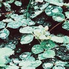 CD Sadness: Rain Chamber