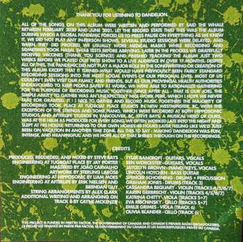 LP Said The Whale: Dandelion  CLR