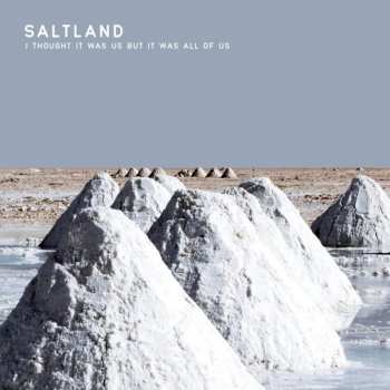CD Saltland: I Thought It Was Us But It Was All Of Us