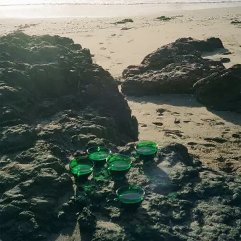 Sam Blasucci: Physical Dream