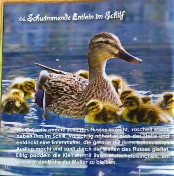 2CD Santec Music Orchestra: Kater Coljas Besuch Bei Den Tieren (Entspannungsmusik Für Kinder)