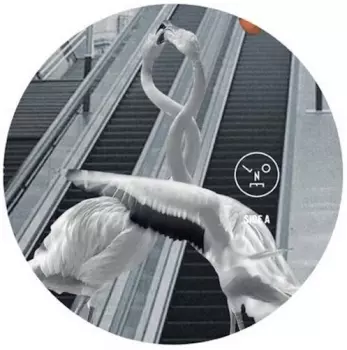 Sasha: Love Is All You Need