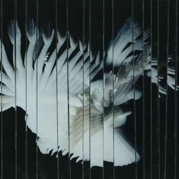 LP Scaler: Endlessly