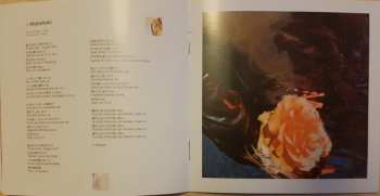 CD SCANDAL: Kiss From The Darkness