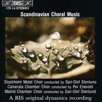 Album Scandinavian Choral Music / Various: Scandinavian Choral Music