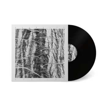 LP Scarcity: Aveilut