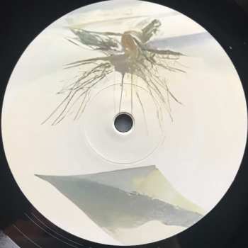 2LP Schneider TM: Ereignishorizont LTD