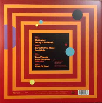 2LP Gov't Mule: Sco-Mule