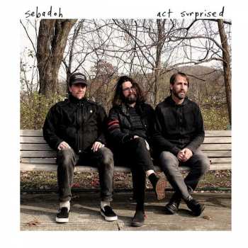CD Sebadoh: Act Surprised