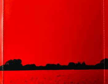 CD Sennen: Where The Light Gets In