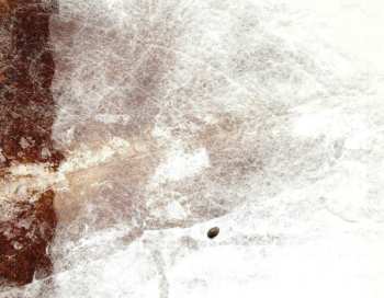 CD Sergent Garcia: La Semilla Escondida