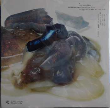 LP Sex Swing: Type II LTD | CLR