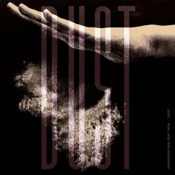 Shahrokh Dini: Dust