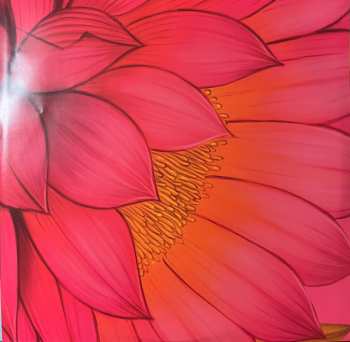 2LP Shakti: Mind Explosion