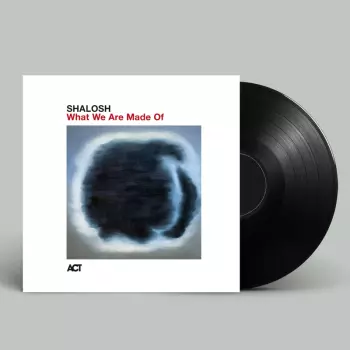 Shalosh: What We Are Made Of