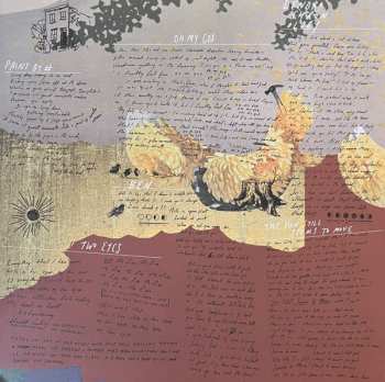 LP Shannen Moser: The Sun Still Seems To Move CLR | LTD