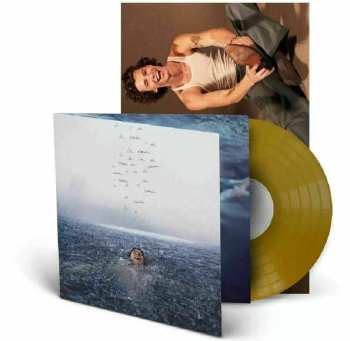 LP Shawn Mendes: Wonder LTD | CLR