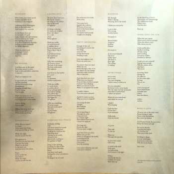 2LP Shearwater: The Great Awakening