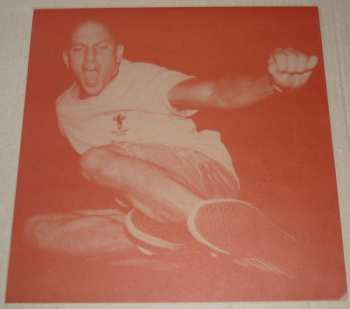 LP Shelter: Perfection Of Desire CLR