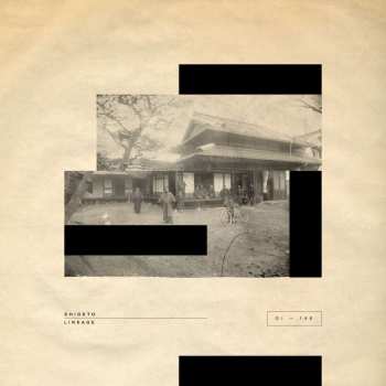 LP Shigeto: Lineage CLR | LTD