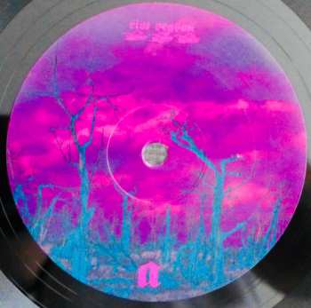 LP Shit And Shine: Phase Corrected LTD