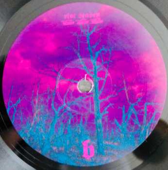 LP Shit And Shine: Phase Corrected LTD